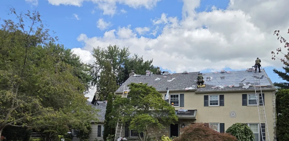 Roof Replacement